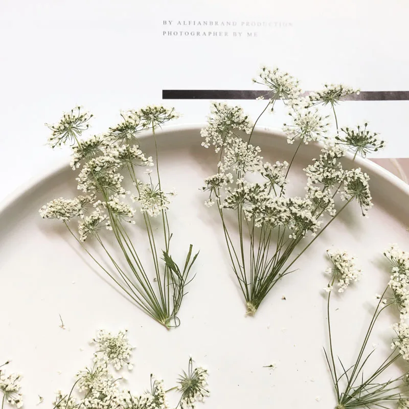 5-7Cm/12 Chiếc, Tuyết Hoa Nhỏ  - đánh giá và giá Craft Embellishment
